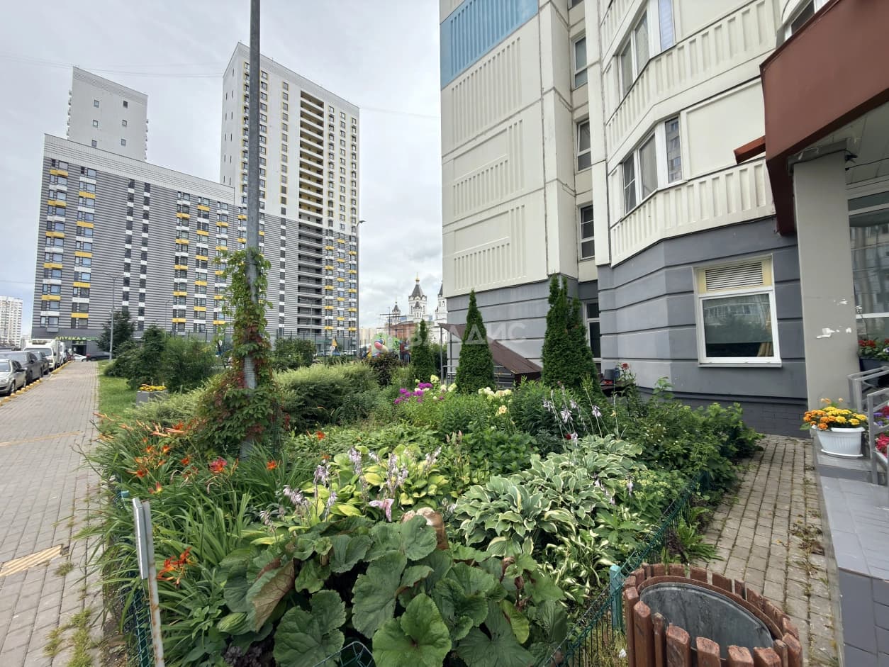 Photo 43