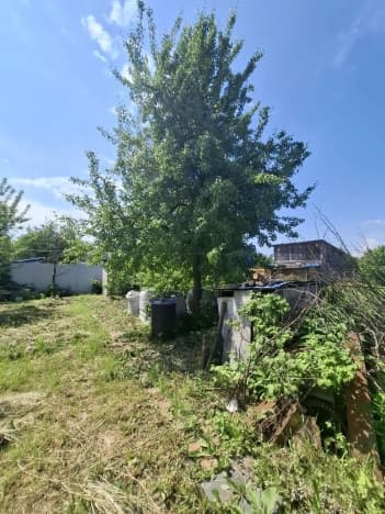 Купить дом в Деревне Бурцеве в Богородском Муниципальном Округе на улице 1-я Парковая , деревня Бурцево в Нижегородской области. Вариант № 2196354, 1, площадь - квм, цена 13500000 рублей