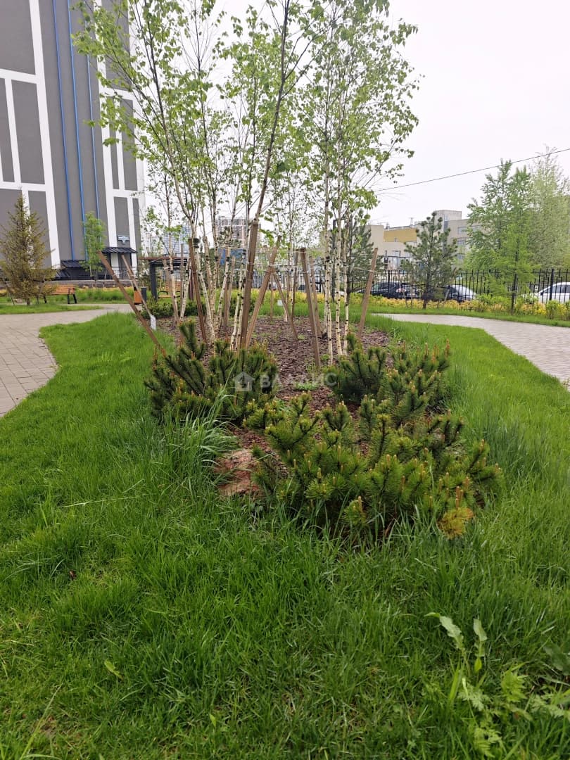 Photo 19