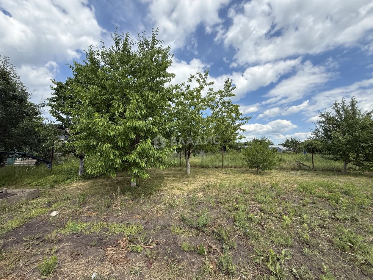 Photo 39