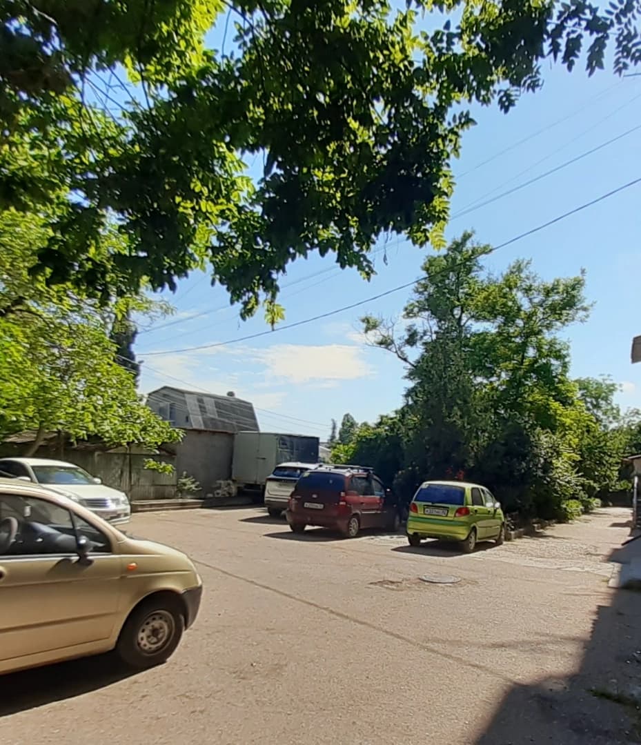 Photo 11