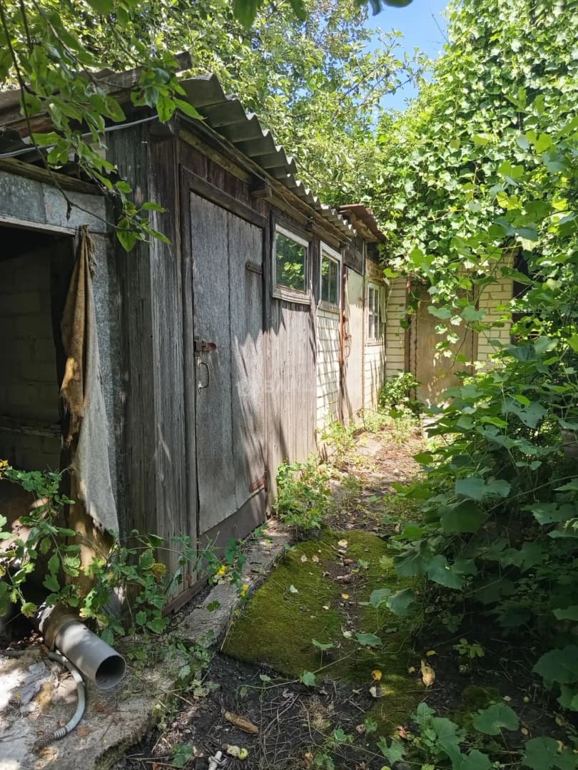 Photo 16