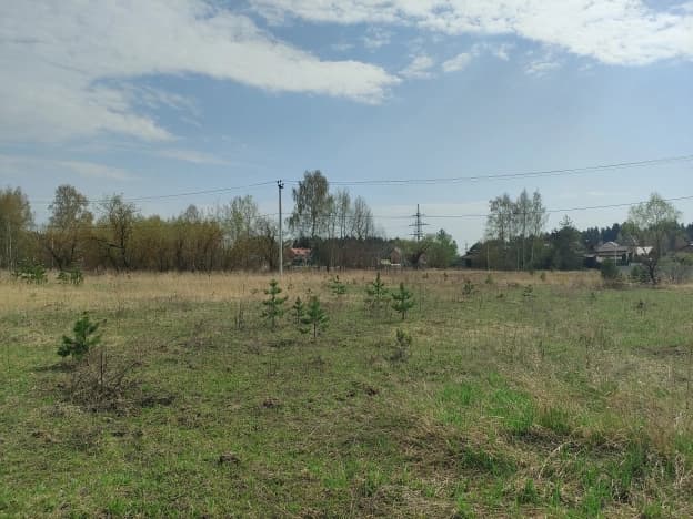 Купить земельный участок в селе Павловское в Суздальском районе на улице Молодёжная , село Павловское в Владимирской области. Вариант № 2183164, 0, площадь - квм, цена 7300000 рублей
