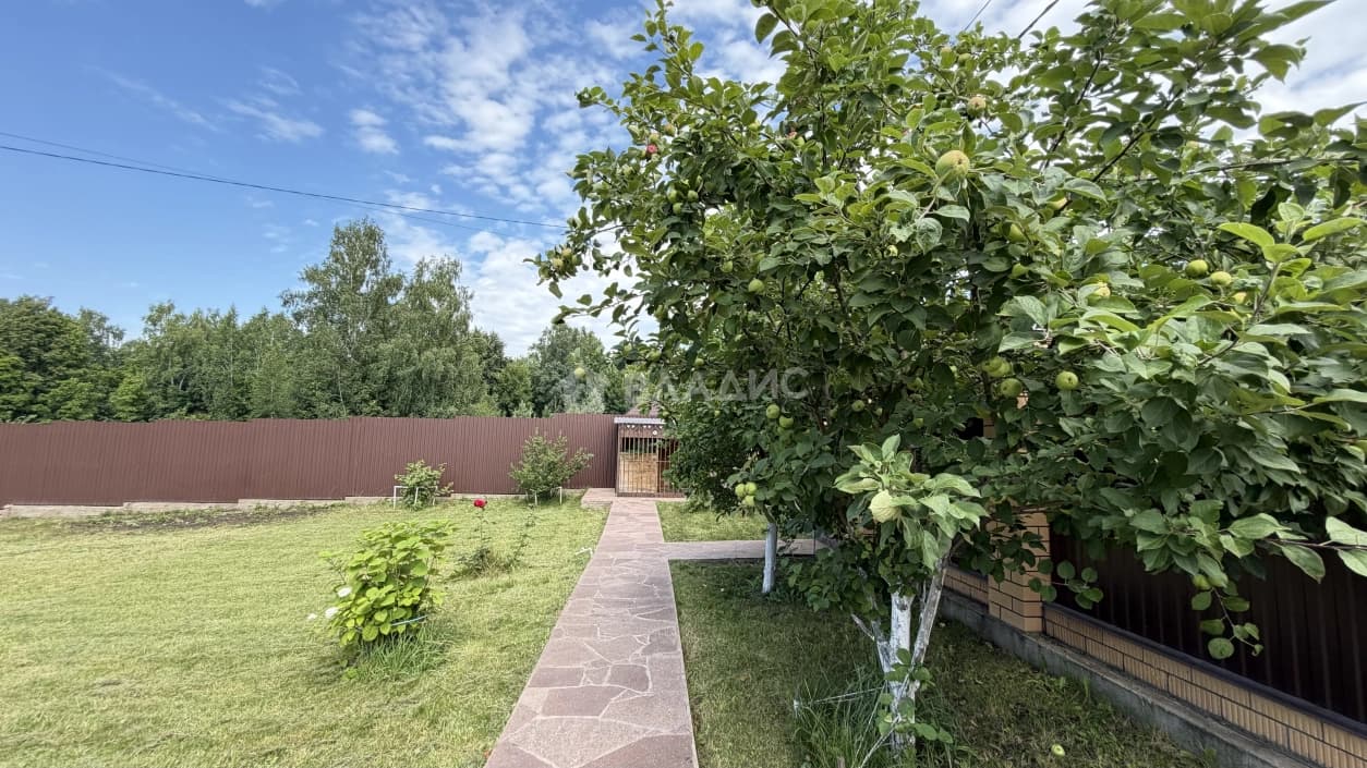 Photo 24