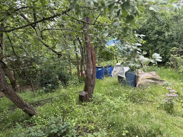 Купить земельный участок в Нижегородской области. Вариант № 2221636, 0, площадь - квм, цена 1650000 рублей