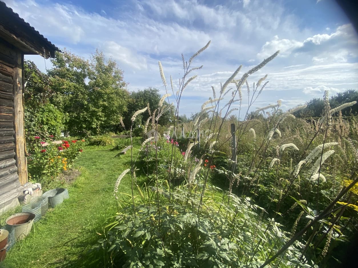 Photo 22