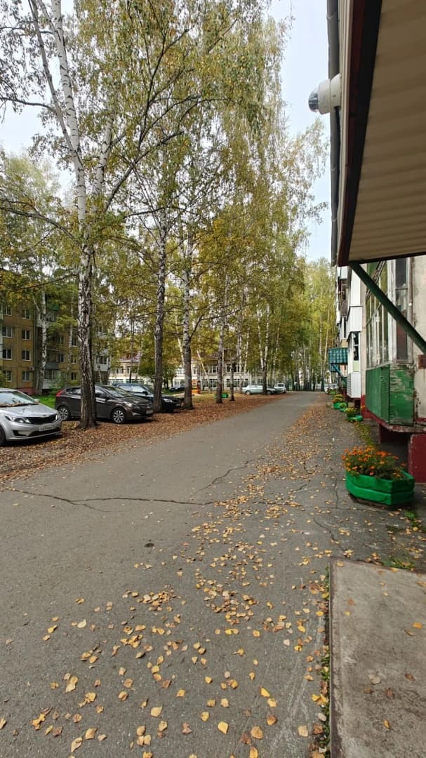 Photo 19