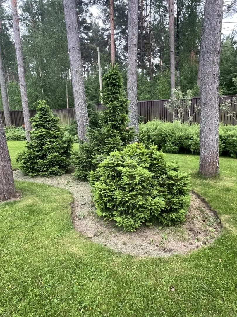 Photo 33