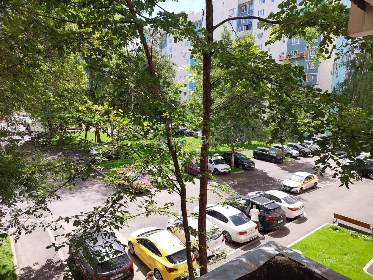 Photo 23