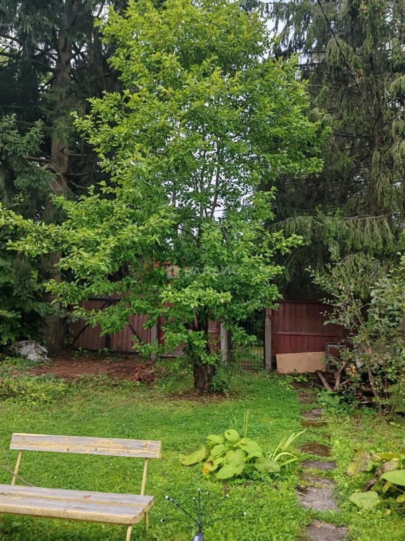 Photo 26