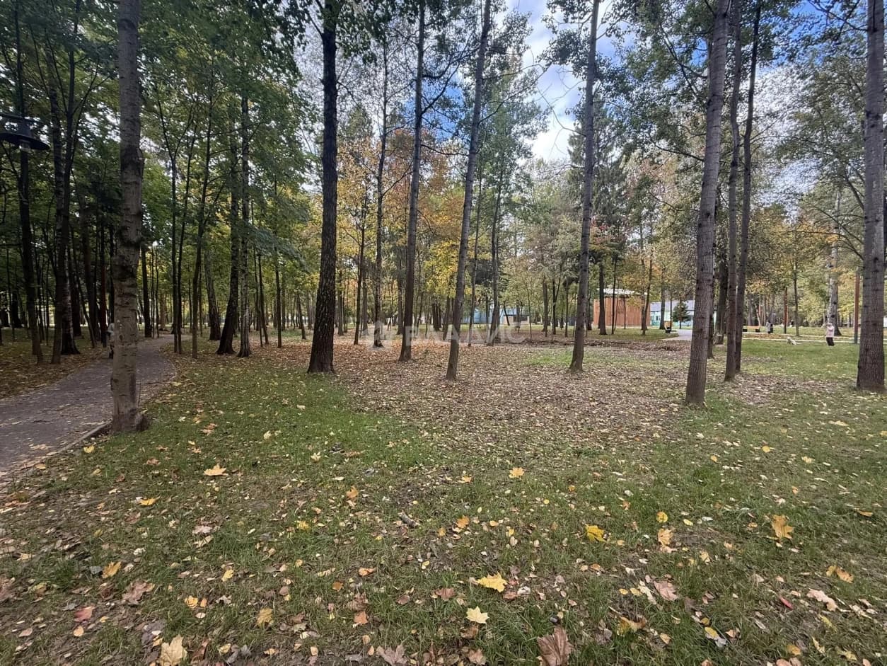 Photo 32
