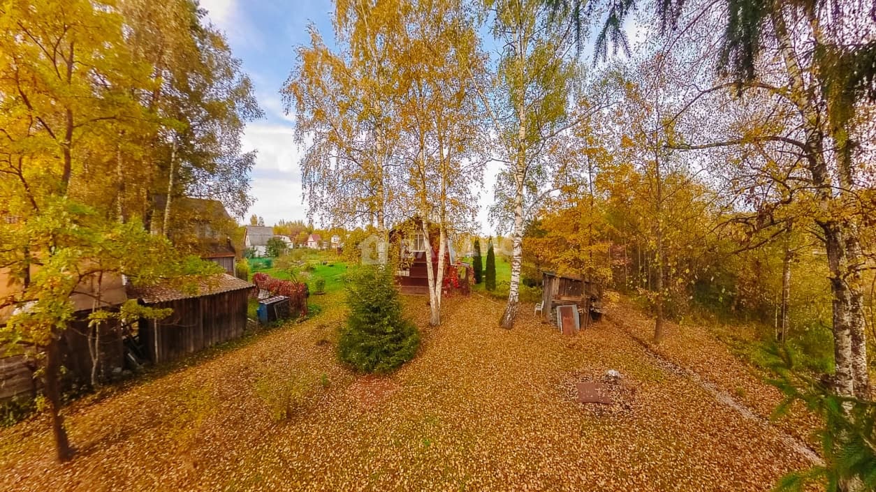Photo 44