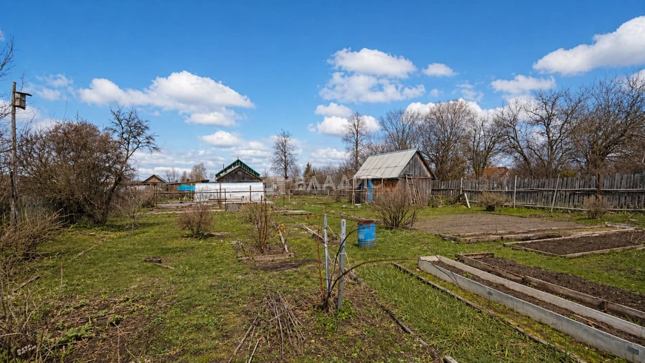 Photo 44