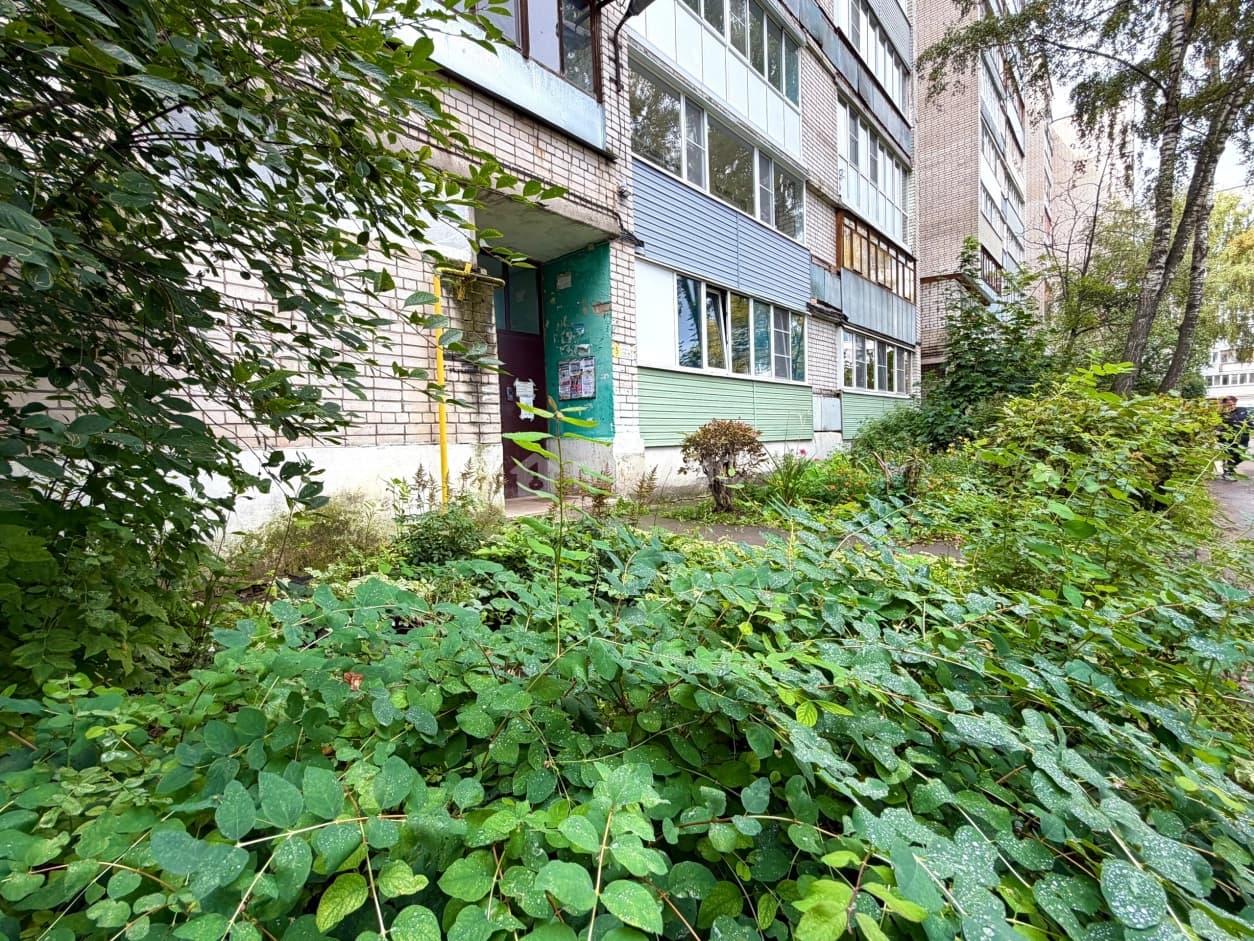Photo 25