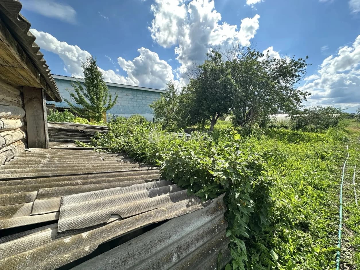 Photo 36