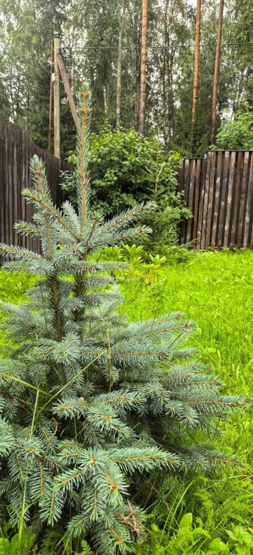 Photo 36