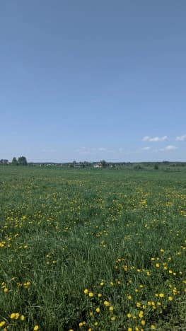 Купить земельный участок в Муниципальном Округе Сокольском в Нижегородской области. Вариант № 2198371, 0, площадь - квм, цена 2300000 рублей