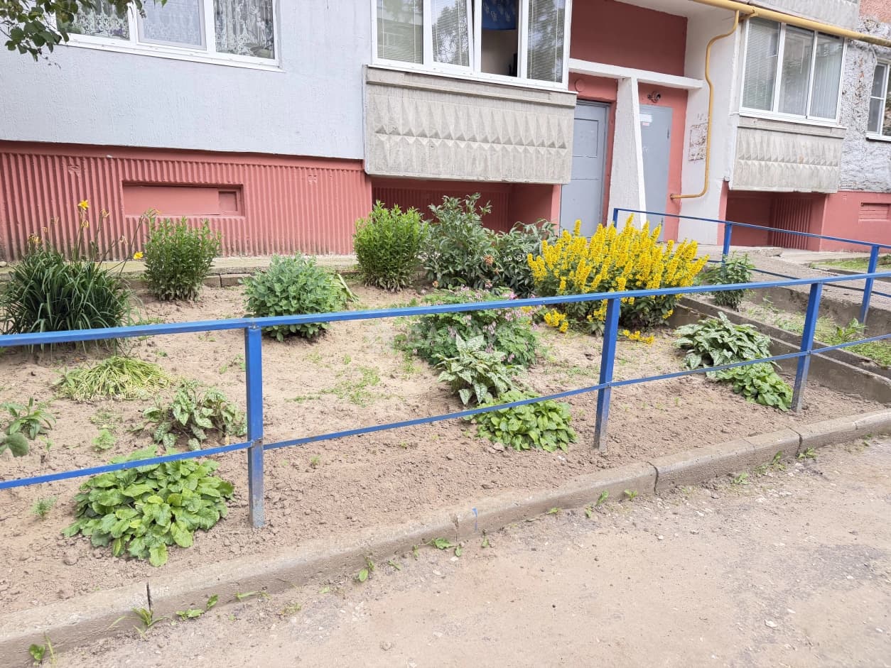 Photo 25