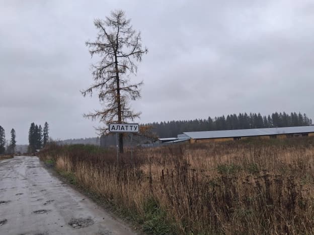 Купить земельный участок в Деревне Ряймяли в Питкярантском Муниципальном Округе в Республике Карелия. Вариант № 2414303, 0, площадь - квм, цена 990000 рублей