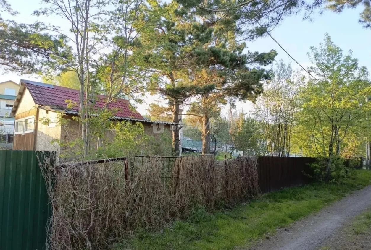 Photo 7
