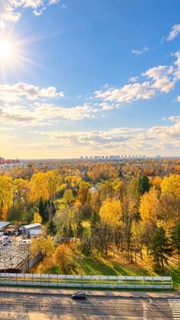 Купить квартиру в Деревне Менькове в Гатчинском Муниципальном Округе в Ленинградской области. Вариант № 2375905, 1, площадь - квм, цена 18200000 рублей