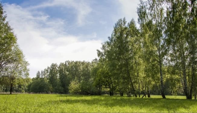 Купить земельный участок в Тульской области. Вариант № 2180687, 1, площадь - квм, цена 2859065 рублей