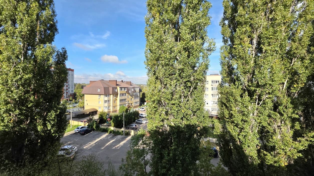 Photo 30