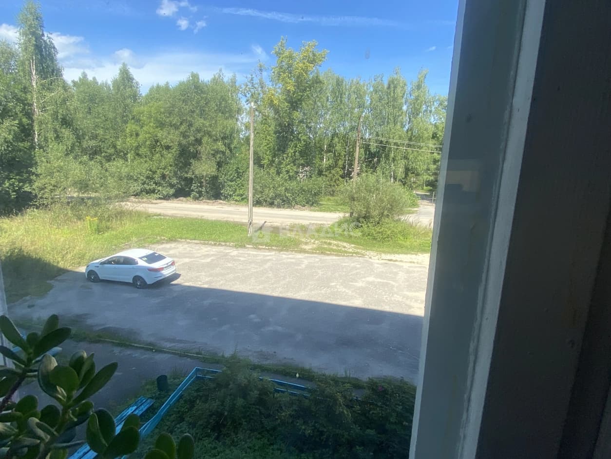 Photo 31