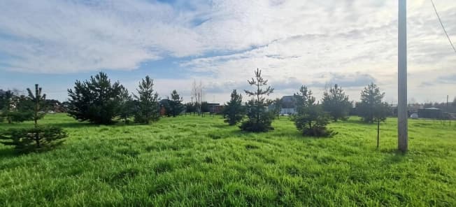 Купить земельный участок в Рязанском районе в Рязанской области. Вариант № 2108183, 1, площадь - квм, цена 1250000 рублей