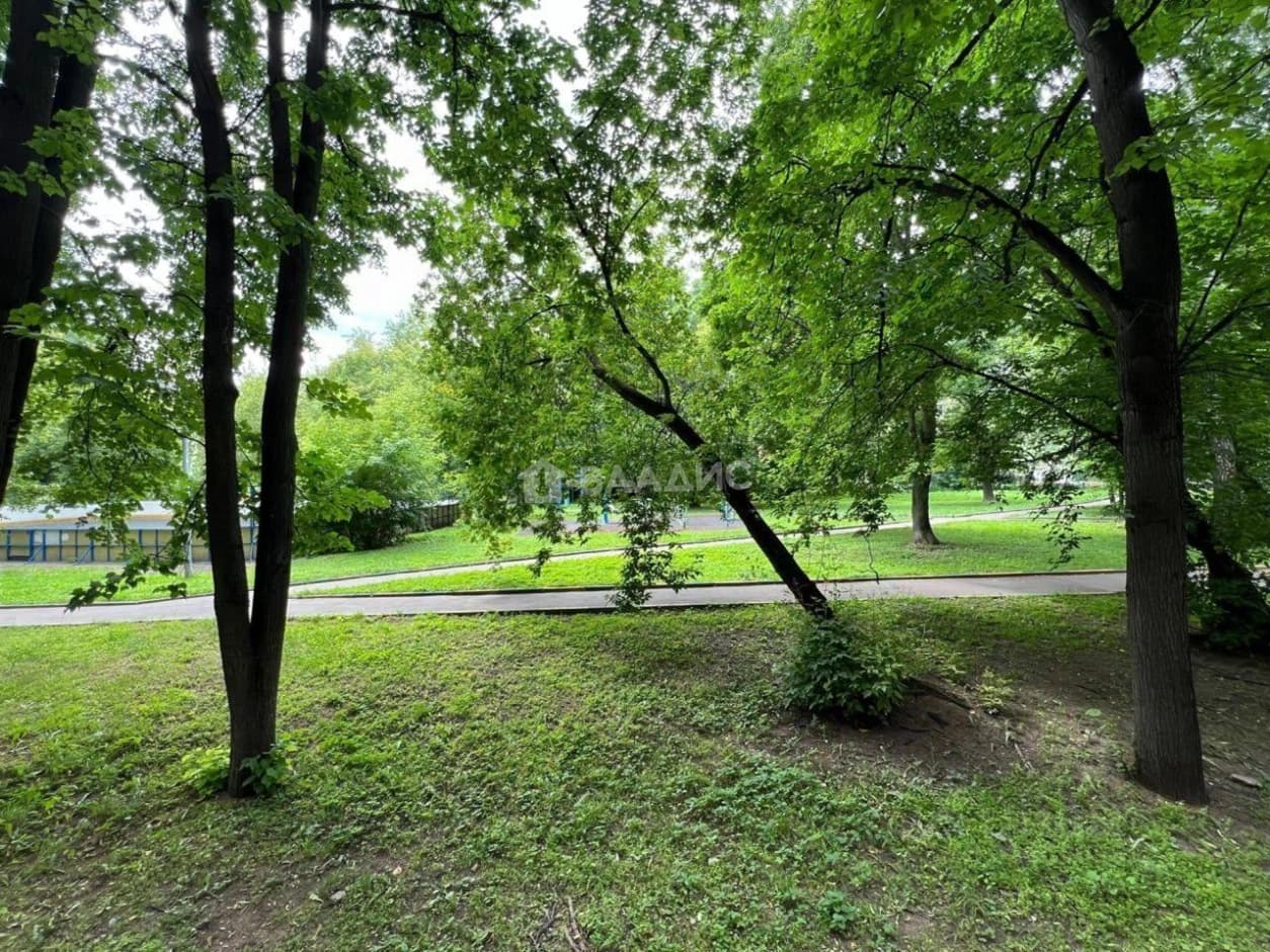 Photo 29