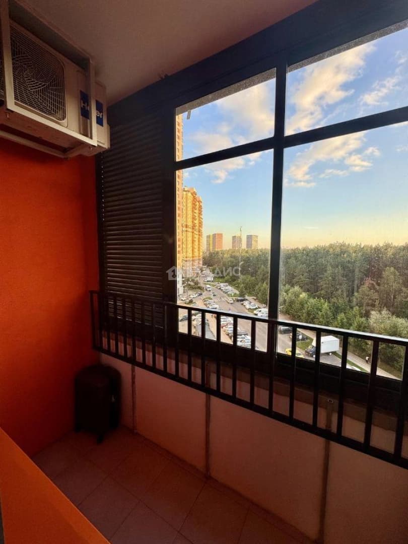 Photo 11