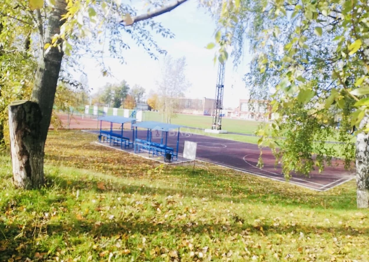 Photo 13