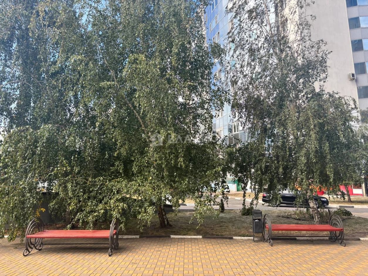 Photo 24