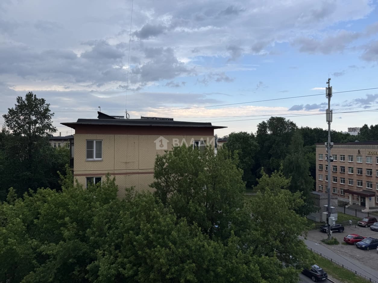 Photo 41