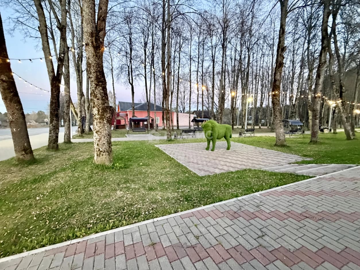 Photo 11