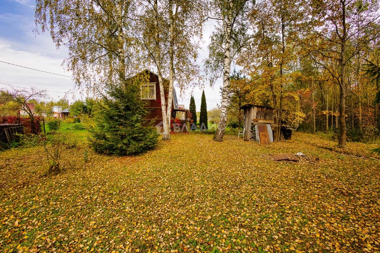 Photo 25