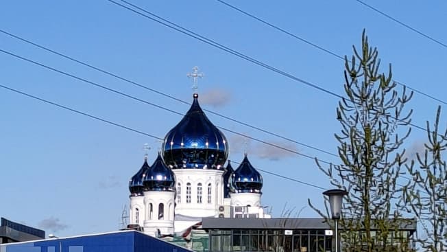 Купить однокомнатную квартиру с ремонтом в Микрорайоне Остров Октябрьский в Калининграде. Вариант № 2329659, 1, площадь - квм, цена 7000000 рублей