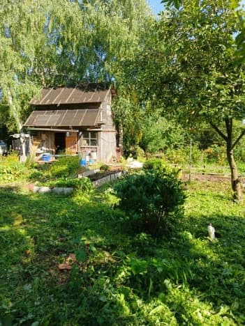 Купить земельный участок в Вологодской области. Вариант № 2108326, 1, площадь - квм, цена 320000 рублей