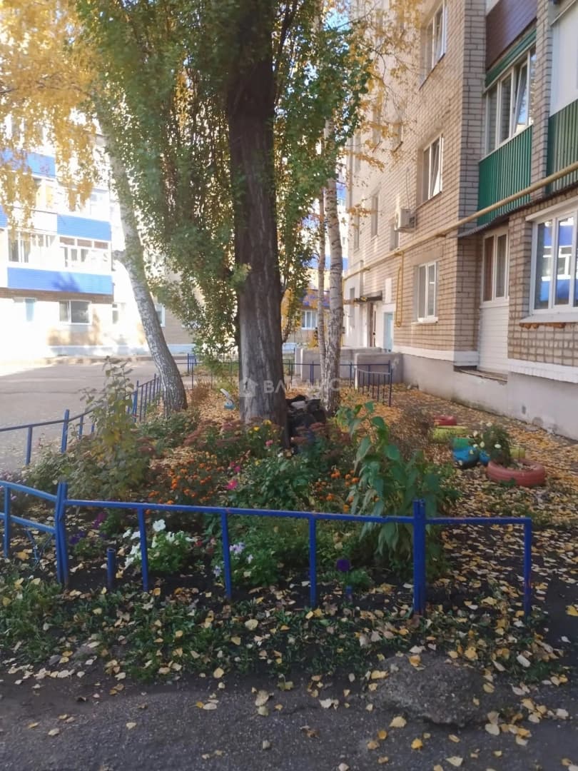 Photo 12