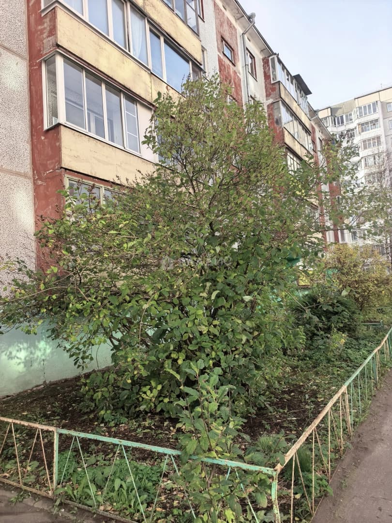 Photo 24