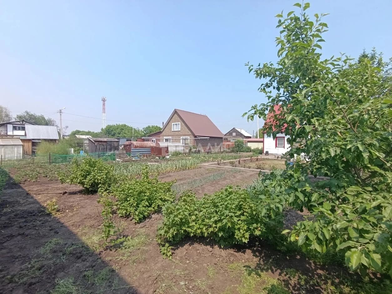 Photo 29