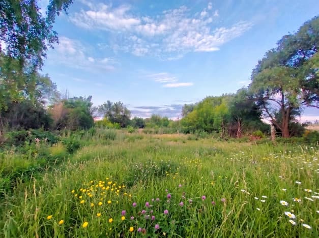 Купить земельный участок в селе Севрюково в Белгородском районе в Белгородской области. Вариант № 2212582, 0, площадь - квм, цена 5600000 рублей