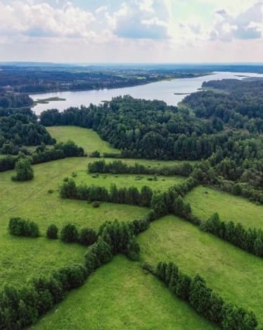 Купить земельный участок в Приозерском районе в Ленинградской области. Вариант № 2272596, 1, площадь - квм, цена 1445000 рублей