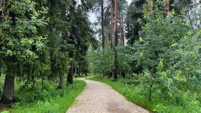 Купить земельный участок в Московской области. Вариант № 2149375, 0, площадь - квм, цена 5850000 рублей