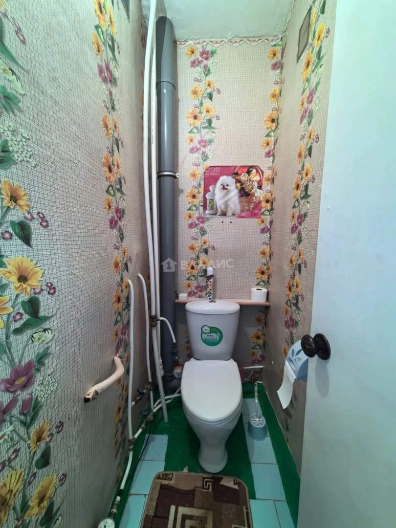 Photo 17
