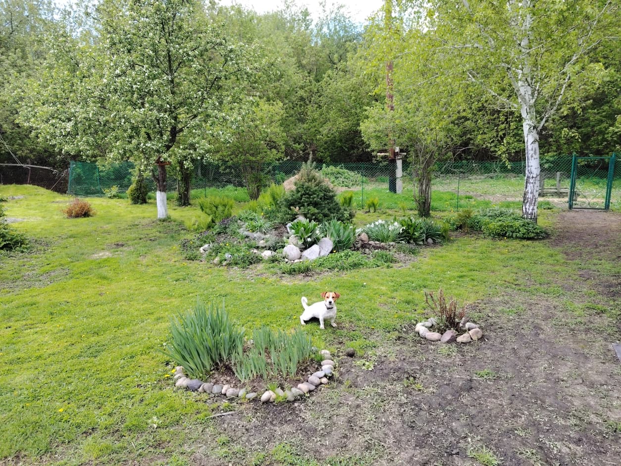 Photo 29