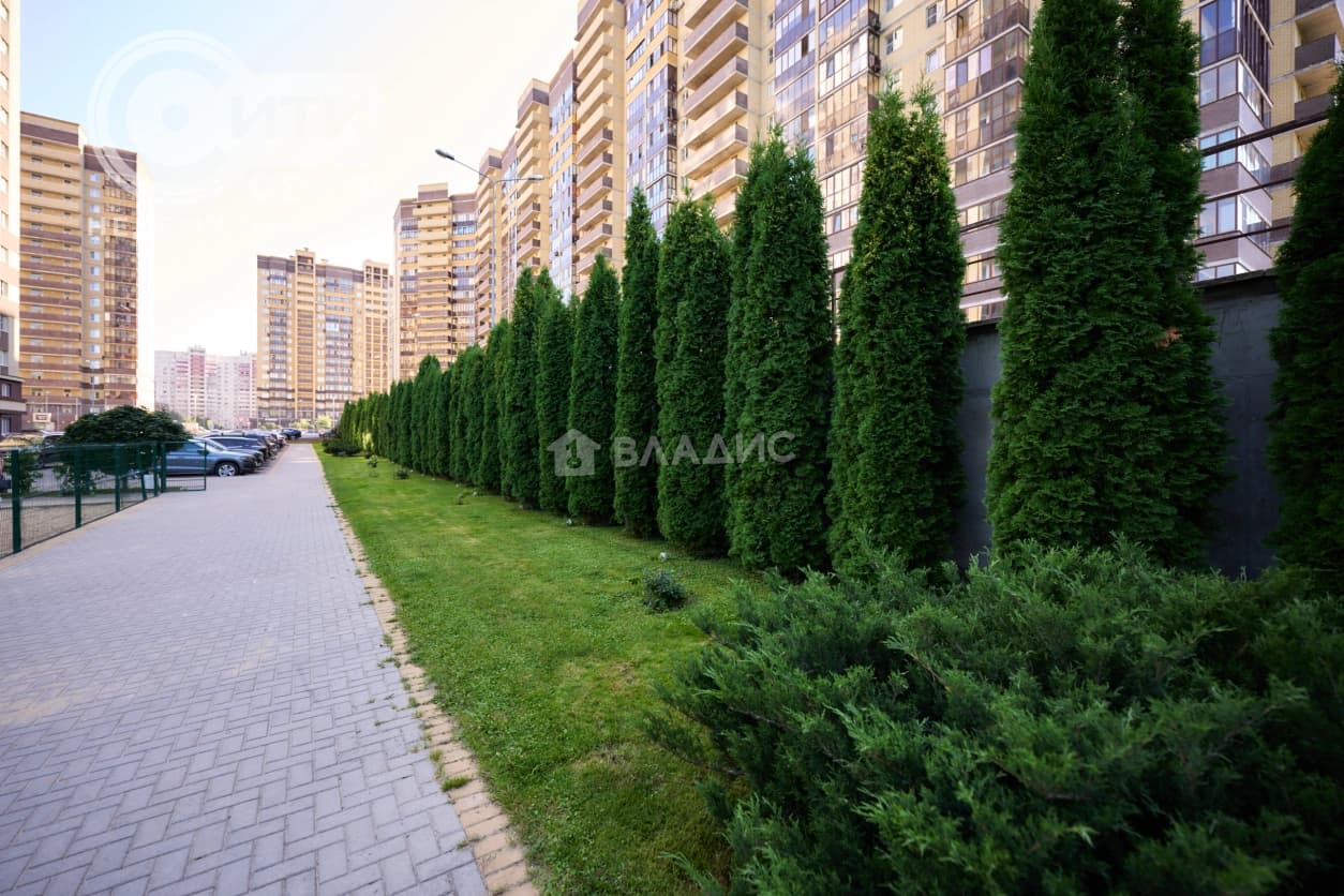 Photo 44