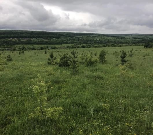 Купить земельный участок в Городищенском районе в Пензенской области. Вариант № 2193212, 0, площадь - квм, цена 790000 рублей