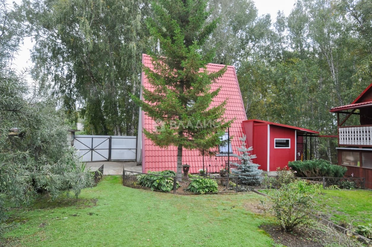 Photo 46