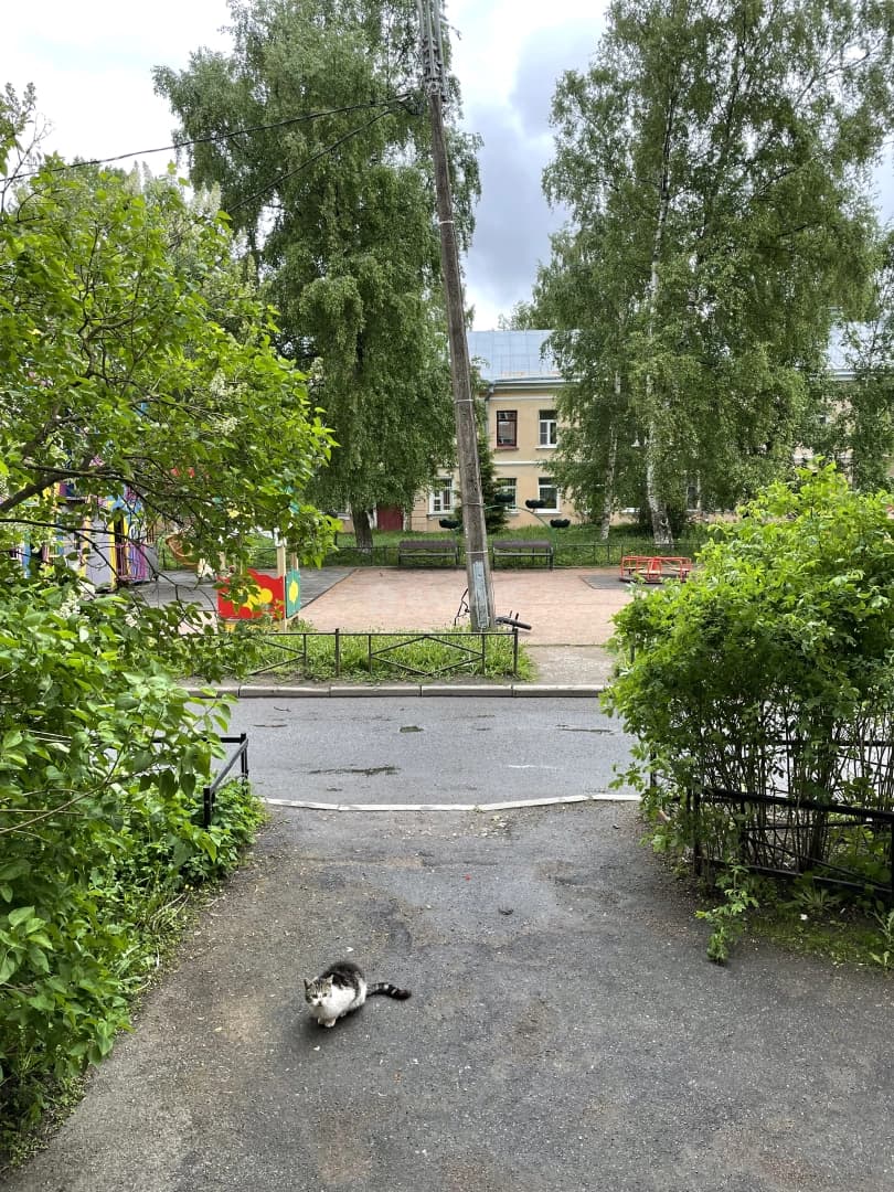 Photo 25